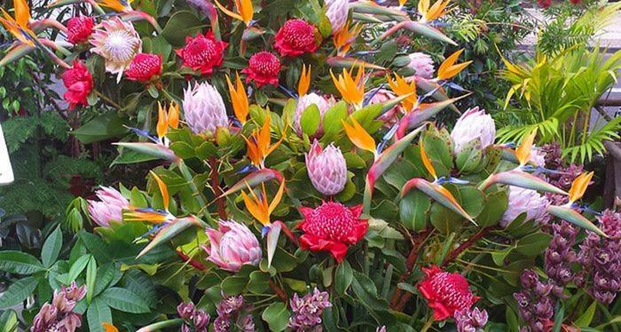 Machico Nature Dış mekan fotoğraf
