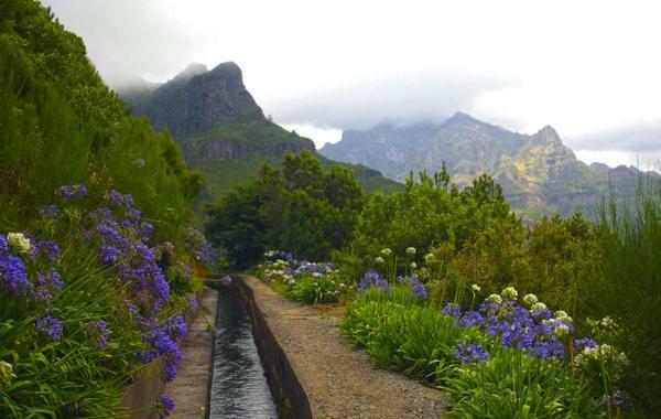 Machico Nature Dış mekan fotoğraf